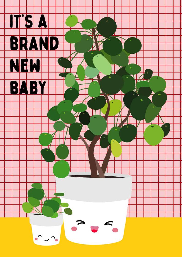 Wenskaart New baby pilea-Studio Inktvis-Studio Inktvis