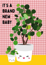 Wenskaart New baby pilea-Studio Inktvis-Studio Inktvis