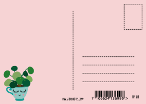 Postkaart Pilea Pannenkoekplant