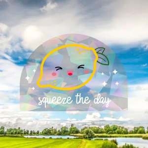 RAAMSTICKER squeeze the day